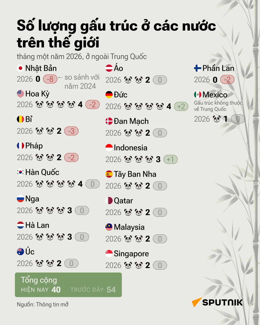 Ở đâu có thể nhìn thấy gấu trúc bên ngoài lãnh thổ Trung Quốc? - Sputnik Việt Nam