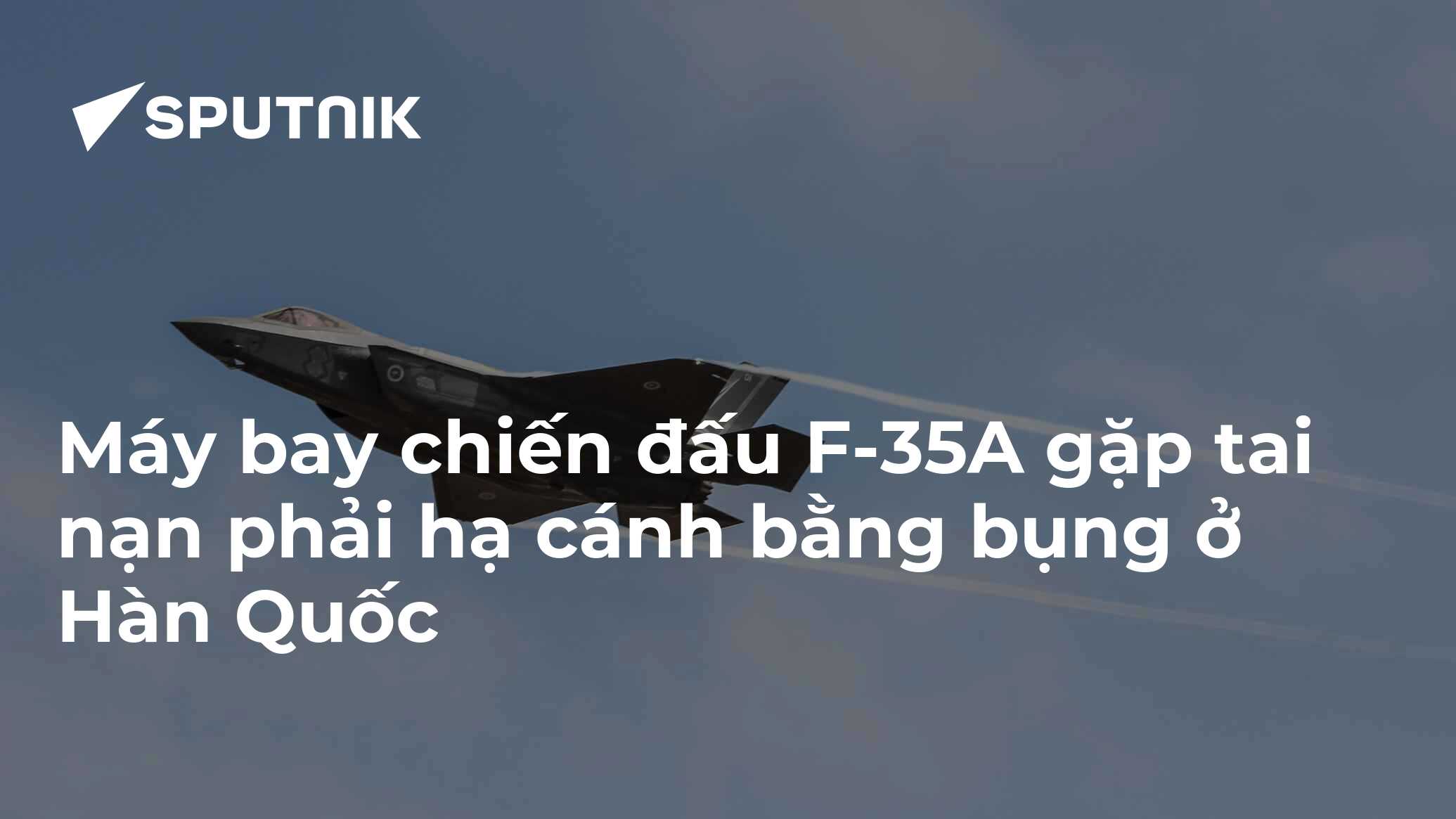 vn.sputniknews.com