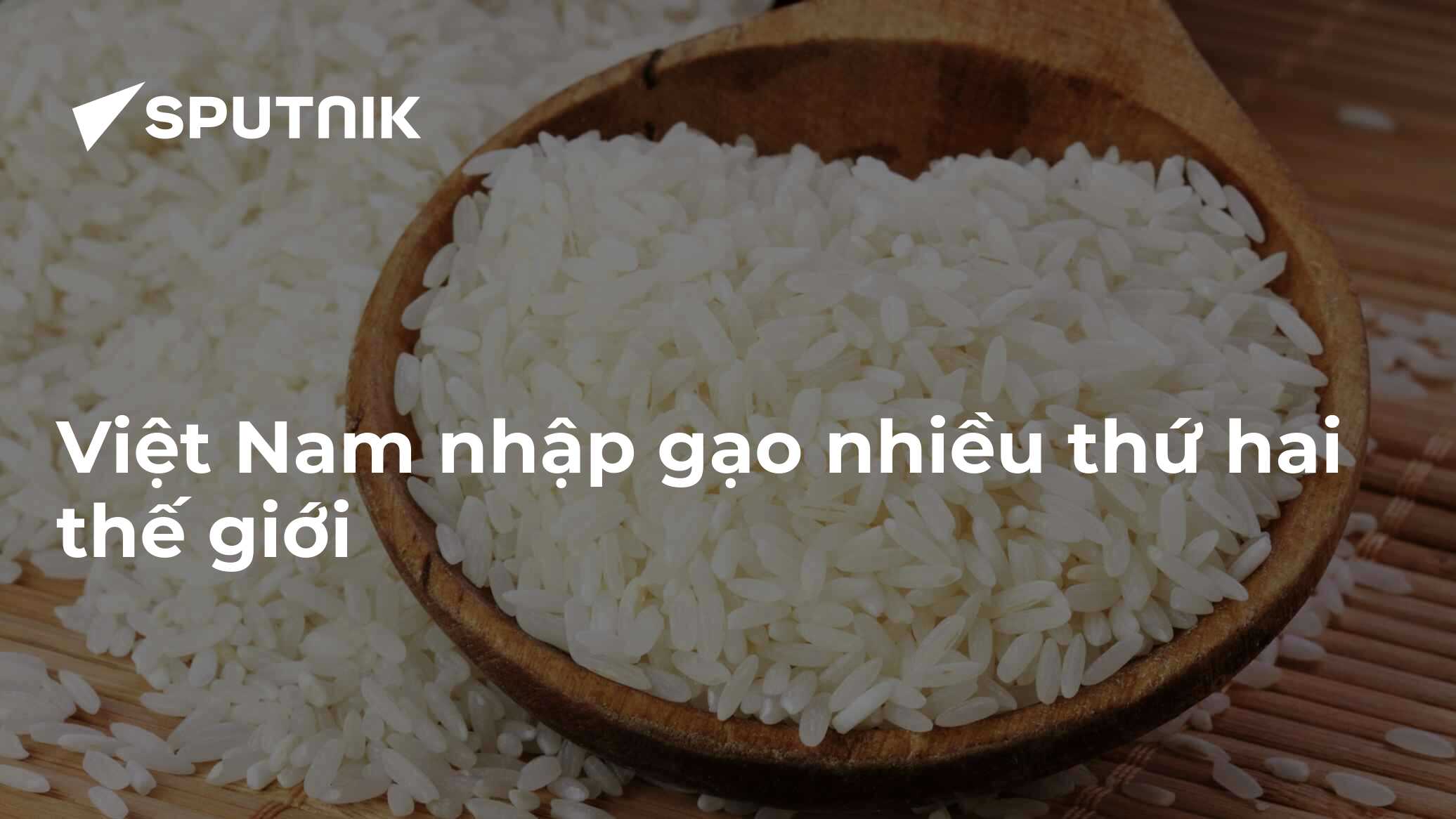 kevesko.vn