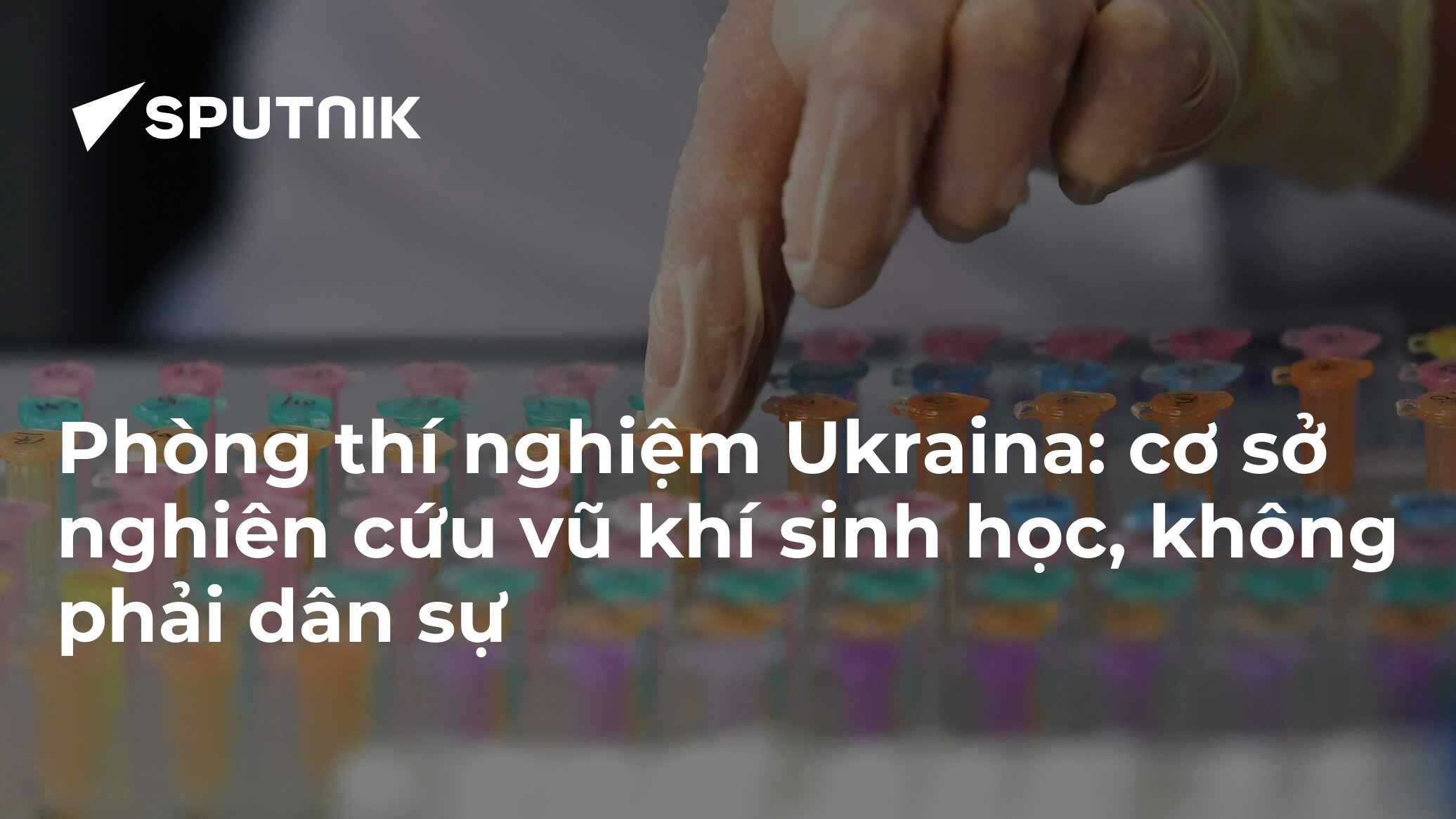 kevesko.vn