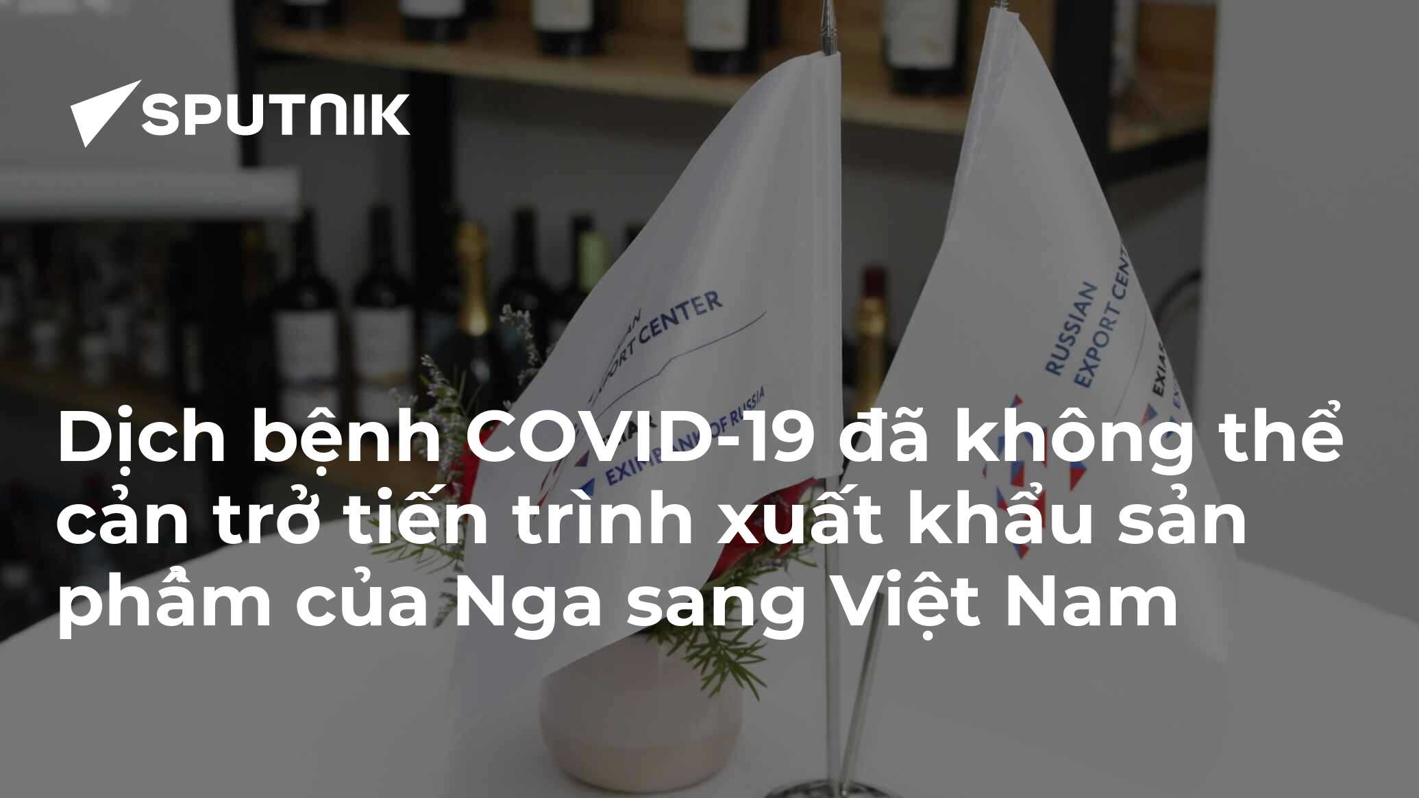 vn.sputniknews.com