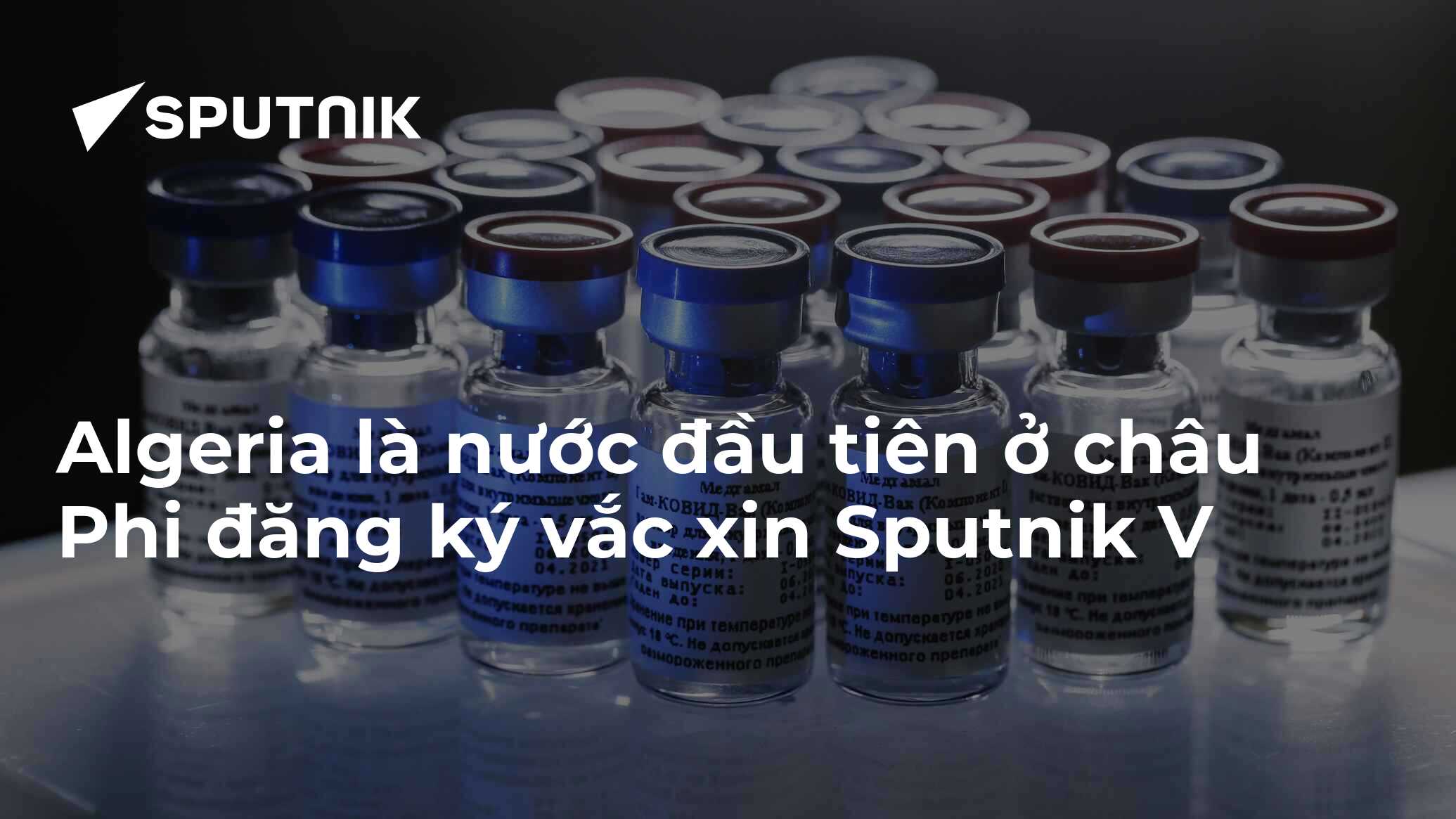 vn.sputniknews.com