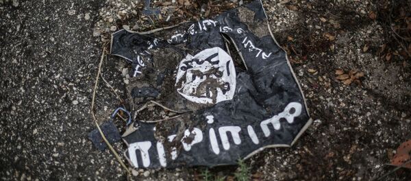 IS - Sputnik Việt Nam