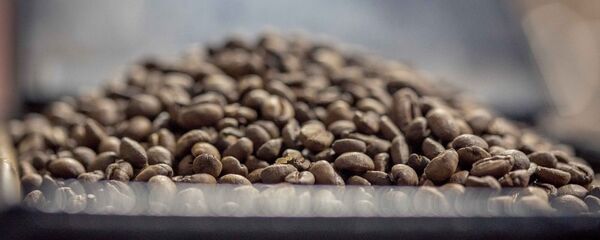 Cà phê hạt - Sputnik Việt Nam