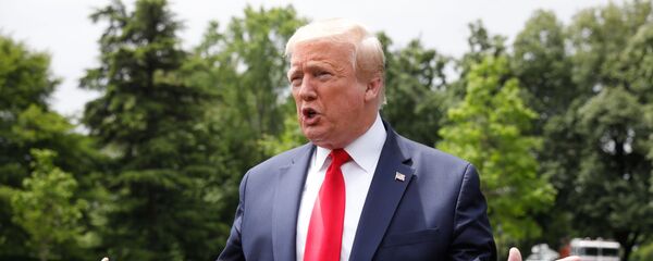 Tổng thống Mỹ Donald Trump theo cách tiếp cận báo chí trước khi bay tới Detroit - Sputnik Việt Nam