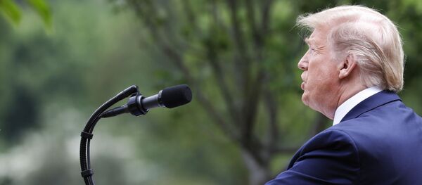 Tổng thống Mỹ Donald Trump trong cuộc họp giao ban tại vườn hoa hồng gần Nhà Trắng ở Washington - Sputnik Việt Nam