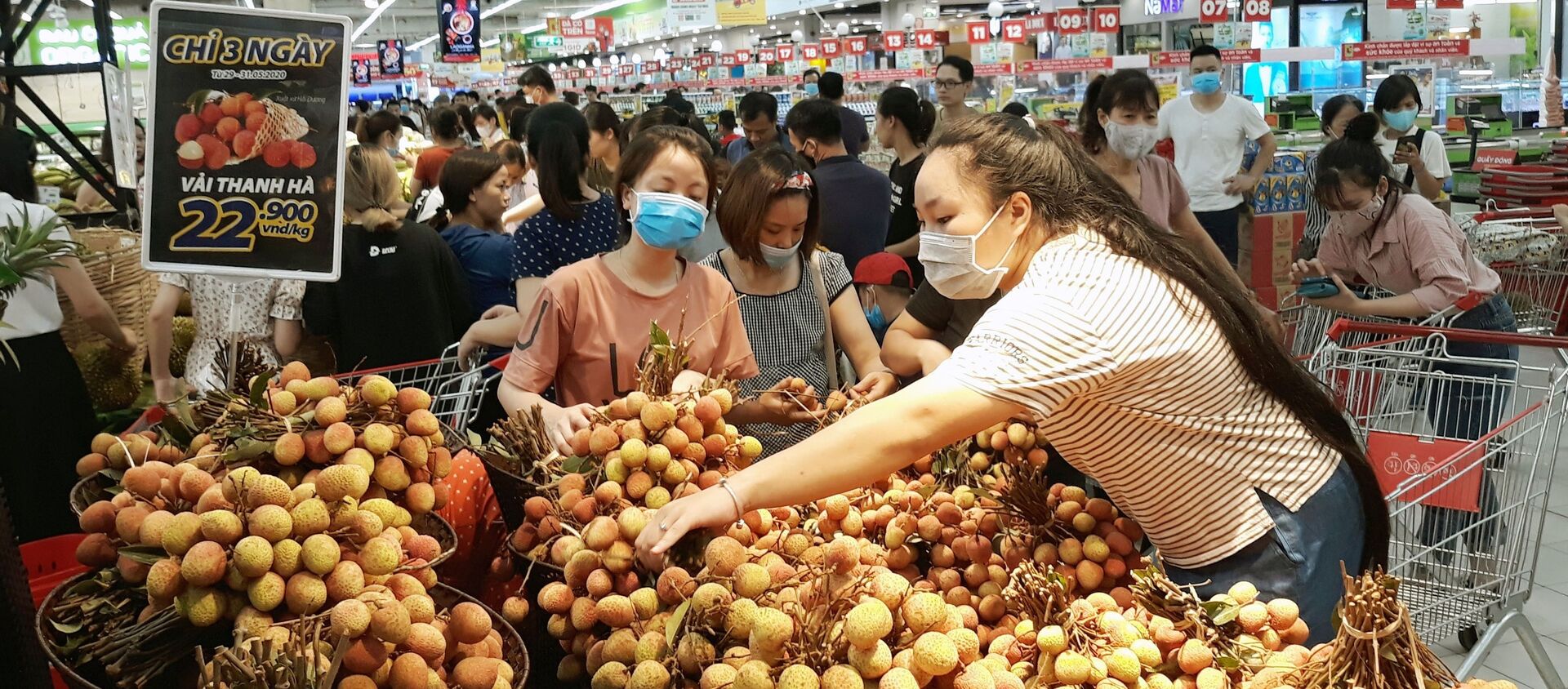 Hà Nội kết nối nông sản các vùng miền về tiêu thụ tại Thủ đô. - Sputnik Việt Nam, 1920, 14.07.2020