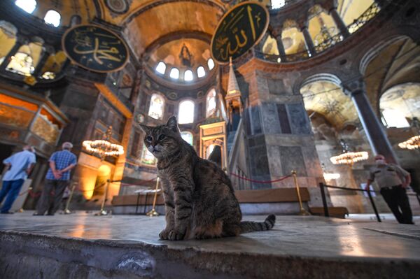 Hagia Sophia – giáo đường, nhà thờ đạo Hồi hay Viện Bảo tàng. Tại sao di tích này quý giá? Hagia Sophia – giáo đường, nhà thờ đạo Hồi hay Viện Bảo tàng. Tại sao di tích này quý giá? - Sputnik Việt Nam