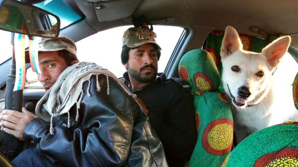 Chu du thiên hạ 1000 ngày: Nữ du khách Nga và con chó đi khắp thế giới bằng ô tô Chu du thiên hạ 1000 ngày: Nữ du khách Nga và con chó đi khắp thế giới bằng ô tô - Sputnik Việt Nam