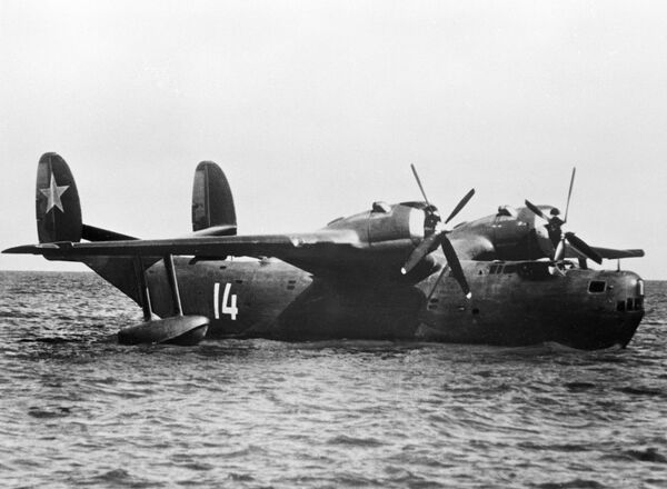 Ngày hội của lực lượng Không quân Hải quân Nga. Quá trình xây dựng, chiến đấu và trưởng thành - Sputnik Việt Nam