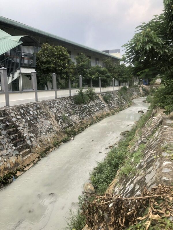 Suối Sọ ở Bình Dương lại đổi màu, nổi bọt trắng - Sputnik Việt Nam