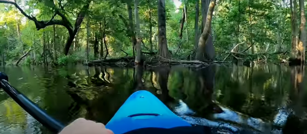 Cá sấu hung dữ tấn công thuyền kayak Cá sấu hung dữ tấn công thuyền kayak - Sputnik Việt Nam