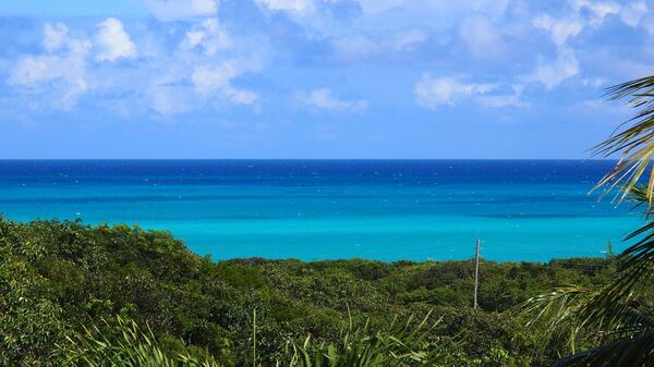 Cảnh đại dương ở quần đảo Bahamas. - Sputnik Việt Nam