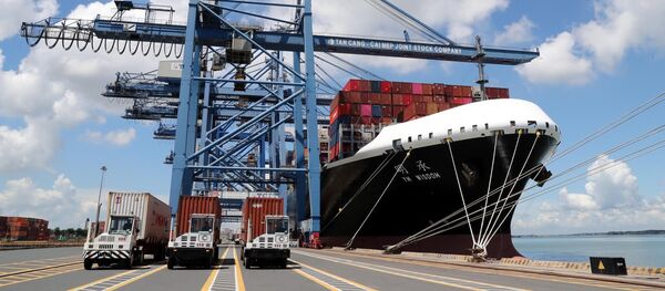 Tàu cập bến bốc dỡ hàng hóa tại cảng Tân Cảng - Cái Mép (Tổng Công ty Tân Cảng Sài Gòn) tại tỉnh Bà Rịa - Vũng Tàu. - Sputnik Việt Nam