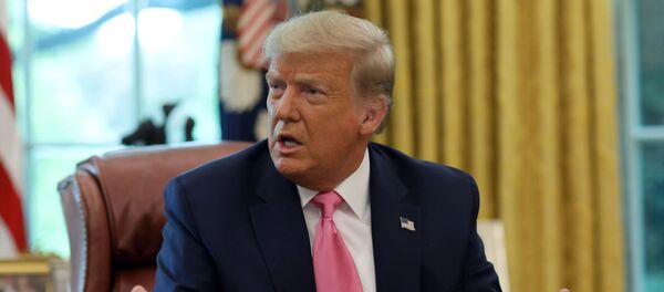 Tổng thống Mỹ Donald Trump - Sputnik Việt Nam