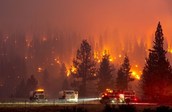 Dập cháy rừng ở California - Sputnik Việt Nam