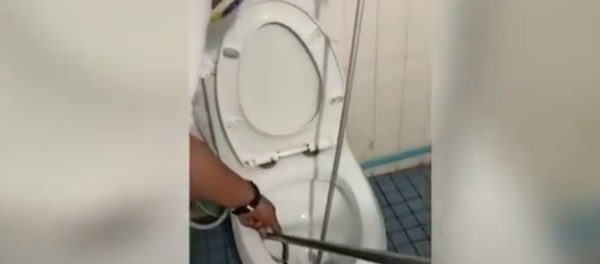 Rắn - thợ ống nước dọa học sinh ở Thái Lan. - Sputnik Việt Nam