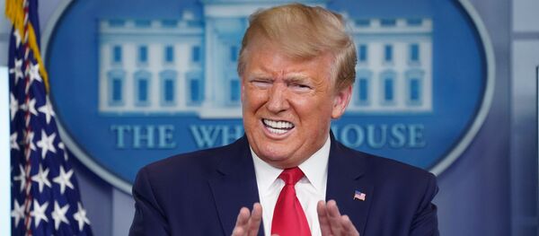 Tổng thống Mỹ Donald Trump Tổng thống Mỹ Donald Trump - Sputnik Việt Nam