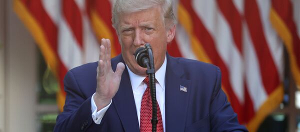 Tổng thống Mỹ Donald Trump - Sputnik Việt Nam