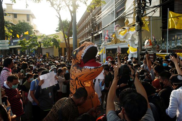 Tại sao Hamtaro trở thành một biểu tượng chống đối ở Thái Lan? - Sputnik Việt Nam