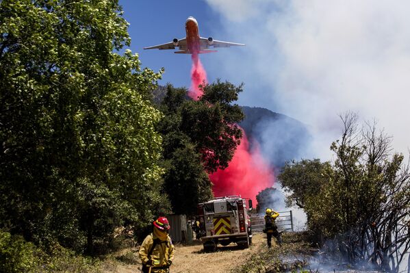 Máy bay trong thời gian dập hỏa hoạn ở California - Sputnik Việt Nam