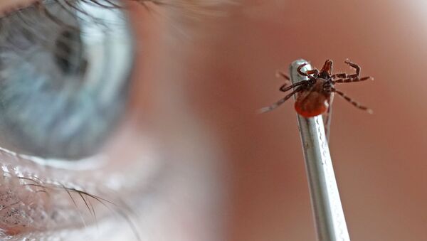 Nhân viên phòng thí nghiệm các bệnh nhiễm trùng tiêu điểm đặc biệt nguy hiểm và tự nhiên. - Sputnik Việt Nam