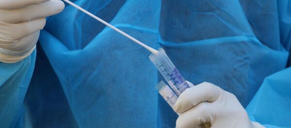 Các que sau khi phết lấy mẫu được bỏ chung trong ống nghiệm theo nhóm. - Sputnik Việt Nam