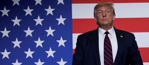 Tổng thống Mỹ Donald Trump trên nền lá cờ Mỹ - Sputnik Việt Nam