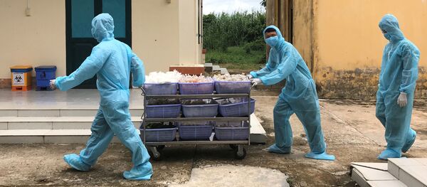 Bộ đội Việt Nam mặc đồ bảo hộ mang thức ăn cho người cách ly - Sputnik Việt Nam