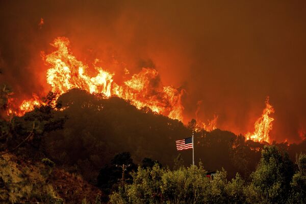 Cháy rừng ở California - Sputnik Việt Nam