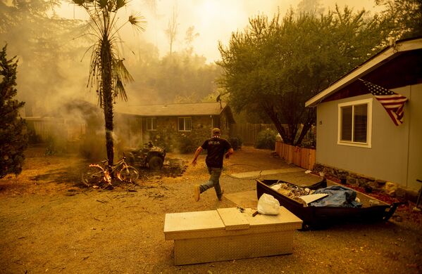 Một người đàn ông chạy cứu con chó khi đám cháy tiến đến gần nhà, California - Sputnik Việt Nam