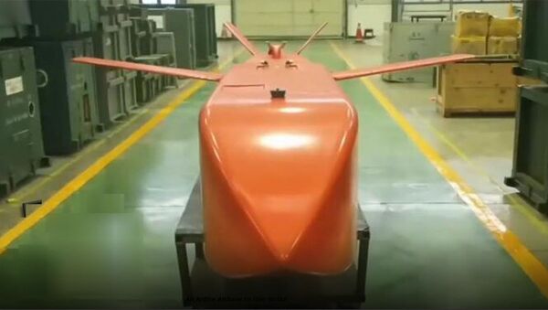 Bom chùm Thiên Lôi của Trung Quốc: vũ khí của chiến tranh công nghệ cao - Sputnik Việt Nam