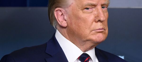 Tổng thống Hoa Kỳ Donald Trump Tổng thống Hoa Kỳ Donald Trump - Sputnik Việt Nam