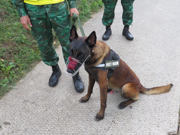 Huấn luyện viên trưởng đội Việt Nam: cuộc thi Người bạn trung thành là diễn đàn trao đổi kinh nghiệm dạy chó nghiệp vụ Huấn luyện viên trưởng đội Việt Nam: cuộc thi Người bạn trung thành là diễn đàn trao đổi kinh nghiệm dạy chó nghiệp vụ - Sputnik Việt Nam