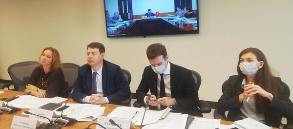 Cuộc họp của Nhóm công tác cấp cao Nga-Việt về các dự án đầu tư ưu tiên - Sputnik Việt Nam