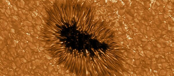 Vết đen mặt trời có độ phân giải cao chụp bằng kính thiên văn GREGOR - Sputnik Việt Nam