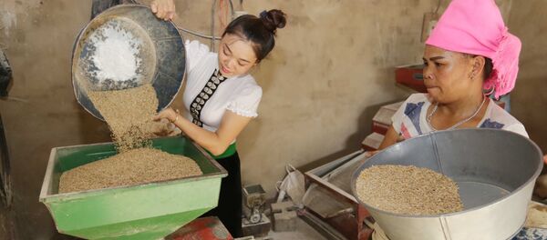 Được Ngân hàng CSXH cho vay 50 triệu đồng từ chương trình cho vay hộ sản xuất kinh doanh vùng khó khăn, gia đình chị Hà Thị Thảo, dân tộc Thái ở thôn Phan Thượng, xã Nghĩa Lợi, thị xã Nghĩa Lộ (Yên Bái) đầu tư máy xay xát gạo, chăn nuôi gia súc, gia cầm, gia đình có việc làm và thu nhập ổn định Được Ngân hàng CSXH cho vay 50 triệu đồng từ chương trình cho vay hộ sản xuất kinh doanh vùng khó khăn, gia đình chị Hà Thị Thảo, dân tộc Thái ở thôn Phan Thượng, xã Nghĩa Lợi, thị xã Nghĩa Lộ (Yên Bái) đầu tư máy xay xát gạo, chăn nuôi gia súc, gia cầm, gia đình có việc làm và thu nhập ổn định - Sputnik Việt Nam