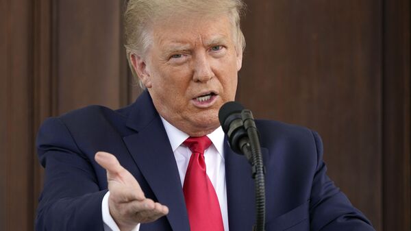  Tổng thống Mỹ Donald Trump - Sputnik Việt Nam