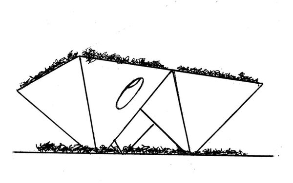 Một trong những dự án mới của Dmitri Azrikan Một trong những dự án mới của Dmitri Azrikan - Sputnik Việt Nam