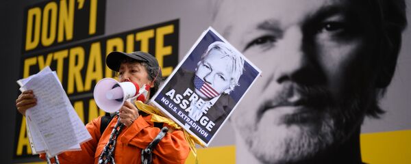 Người ủng hộ Julian Assange trong cuộc biểu tình chống lại việc dẫn độ Julian Assange ở London, Vương quốc Anh Người ủng hộ Julian Assange trong cuộc biểu tình chống lại việc dẫn độ Julian Assange ở London, Vương quốc Anh - Sputnik Việt Nam