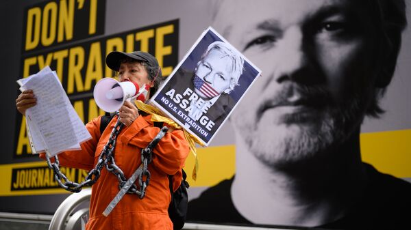 Người ủng hộ Julian Assange trong cuộc biểu tình chống lại việc dẫn độ Julian Assange ở London, Vương quốc Anh - Sputnik Việt Nam