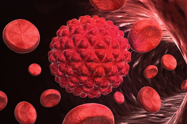 Các nhà khoa học tìm ra cách tiêu diệt tế bào ung thư ở cổ tử cung một cách an toàn Các nhà khoa học tìm ra cách tiêu diệt tế bào ung thư ở cổ tử cung một cách an toàn - Sputnik Việt Nam