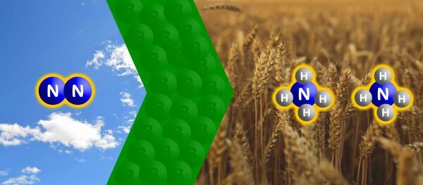 Chuyển nitơ thành amoni - Sputnik Việt Nam