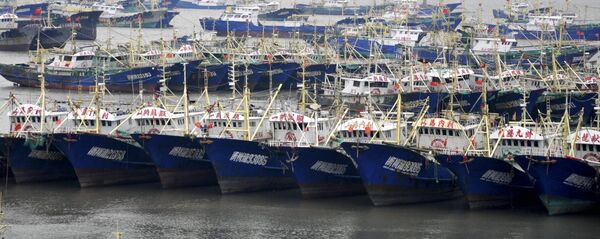 Tàu cá Trung Quốc Tàu cá Trung Quốc - Sputnik Việt Nam