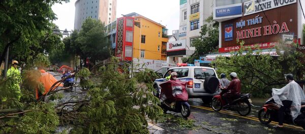 Bão số 5 đổ bộ làm gẫy đổ nhiều cây xanh, cột điện tại thành phố Huế. - Sputnik Việt Nam