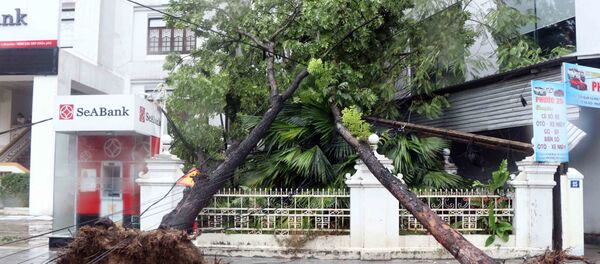  Bão số 5 đổ bộ làm gẫy đổ nhiều cây xanh, cột điện tại thành phố Huế.  - Sputnik Việt Nam