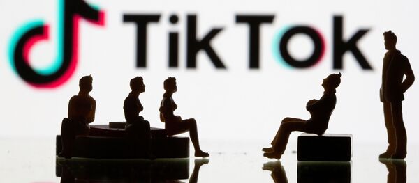 Các hình trên nền logo mạng xã hội TikTok - Sputnik Việt Nam