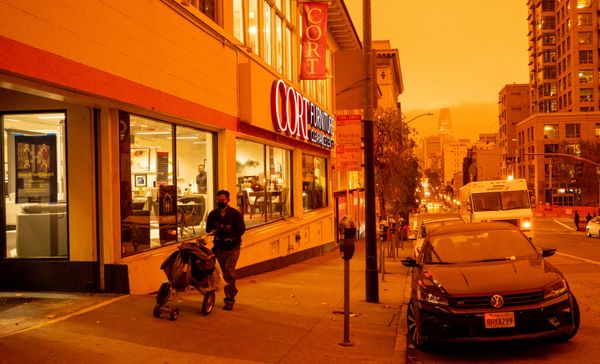 Rượu vang California sẽ có vị cháy rừng - Sputnik Việt Nam