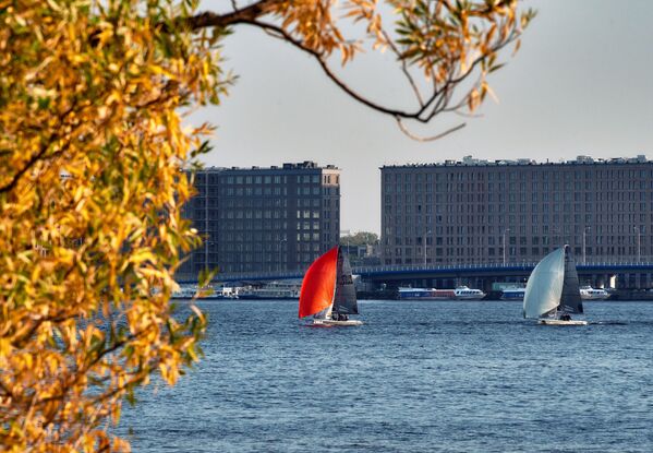 Du thuyền trên sông Malaya Nevka ở St.Petersburg - Sputnik Việt Nam