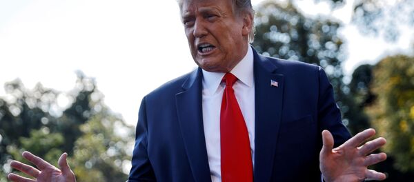 Tổng thống Mỹ Donald Trump. - Sputnik Việt Nam